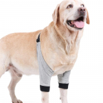 Koera k&uuml;&uuml;narnuki kaitsme liigeste &uuml;mbris koer lemmiklooma esijala p&otilde;lvekaitsme tugi osteoartriidi sidemete vigastuste artriidi ja ED jaoks XL