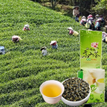 Taiwani k&otilde;rged m&auml;ed Jin Xuan Piim Oolong Tee Kvaliteetne Tiguanyin Roheline Tee Piim Oolong Tervishoid Roheline toit