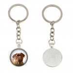 Dogue de Bordeaux, French Mastiff, Bordeauxdog - keychain in a box, own photo, keychain pendant from Art-Dog brand