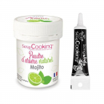 Ar&ocirc;me alimentaire naturel en poudre go&ucirc;t mojito 15 g + Stylo de gla&ccedil;age noir