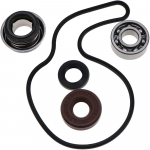 Vee pumba tihendi remondikomplekt 3610075 Polaris RZR 800 Sportsman 600 700 800 jaoks