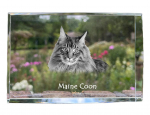 Maine Coon - crystal with a picture of a cat, photo in glass, modern exhibition of Art-Dog brand photo puhas