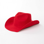 Kaitsekiiver s&uuml;gis ja talv uus valge villane vilt cowboy m&uuml;ts jazz m&uuml;ts Euroopa ja Ameerika mood vabaaja laineline cowboy m&uuml;ts M56-58CM