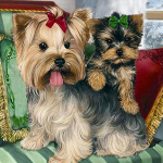 5D DIY teemantmaal Yorkshire'i terjer t&auml;isring puur Pilt rhinestones teemanttikandist 30x30CM