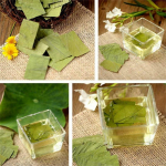 Traditsiooniline tee Lotus Leaf Green Tea taimetee