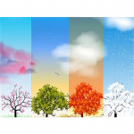 5D DIY Teemantmaal Four Seasons Tree Rhinestone Pilt T&auml;is &uuml;mmargune t&auml;isteemanttikandid Kingi mosaiik kodukaunistuse komplekt Full Round 20x30CM