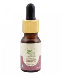 Immortelle eeterlik &otilde;li (15 ml), Helichrysumi eeterlik &otilde;li, Nature's Tattva 15 ml
