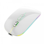 2,4G+BT5.1 kaherežiimiline traadita hiir Ergonoomiline hiir 3-k&auml;iguline reguleeritav DPI, sisseehitatud 500 mAh valge