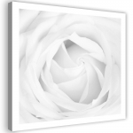 L&otilde;uenditr&uuml;kk White Rose Flower Plant 30x30 must/valge