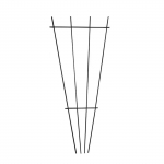Aia taimed Trellis Toataimed Plant Trellis Plants