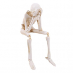 Skelett kujuke Realistlik mitten&auml;gemine, mitter&auml;&auml;kimine ja mitte kuulda kujud &Otilde;udsed luustikud kogutavad kaunistused Halloweeni kummitusmaja jaoks A