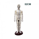 52CM Akupunktuuri mudel