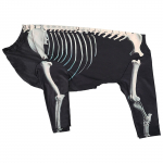 Koerte kapuutsiga s&auml;rk igas suuruses lemmikloomade skeleti kost&uuml;&uuml;midega dressipluus Koerte fotoriided Nelja jalaga pullover riided pidulikuks S