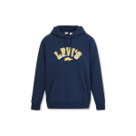 Levis Graffiti Huppar Meeste Hupparid Sinine A3797-0002 S