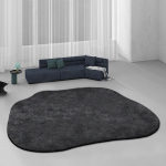 Erilise kujuga kaasaegne vaip elutuppa Ebakorrap&auml;rased kodused minimalistlikud vaibad Mugavad pehmed magamistoavaibad Suur suurus garderoobivaip 80*160cm