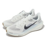 Nike Air Zoom Pegasus 41 Sail Anthracite Meeste Maanteejooksukingad FD2722-113 EU 40 hall v&auml;rv