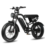 MAXTURN MX10 on 20-tollise rattaraamiga linnas&otilde;iduks m&otilde;eldud elektriratas, mis on varustatud 500W mootoriga ja mille maksimaalne s&otilde;iduulatus on kuni 70 kilomeetrit. must