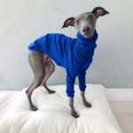 K&otilde;rge kaelusega l&otilde;ng Kahe jalaga lemmikloomakoera riided hurt Whippet jope veniv kilpkonnaga lemmiklooma pidžaama S-5XL (as the picture,S)