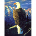 DIY teemantmaalikomplekt Eagle Crystal Diamond Painting Full Round Drill 20X30CM