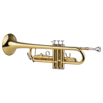 Muslady Trompet Bb B Flat Brass Exquisite koos huulikukinnastega