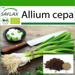 SAFLAX &ndash; Mahe &ndash; Salatisibul &ndash; Valge Lissabon &ndash; 150 seemet &ndash; Potisubstraadiga paremaks kasvatamiseks &ndash; Allium cepa