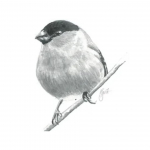 5D DIY t&auml;is &uuml;mmargune teemantmaal ;loom ; lind teemanttikandid kaunistus ristpiste komplekt rhinestone kingitus pilt mosaiik Full Round 20x30CM