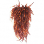 Plastikust kunstrotangist dekoratiivsed &otilde;rna taustaga rekvisiidid roheline