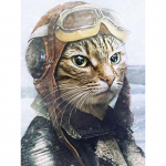 5D DIY Teemantmaal Karikatuur S&otilde;jav&auml;ekassi Teemantteemanttikandid T&auml;ismosaiikkomplektid Ristpistes Kodukaunistus K&auml;sitsi valmistatud kingitused Round 20x30cm