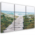 Kolmeosalise pildiga l&otilde;uenditr&uuml;kk Beach Sea Dunes Grass 60x40 roheline