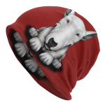 Inglise Bullterjer Skullies Nokam&uuml;tsid Naiste Unisex Talvine Soe Slouchy Beanie M&uuml;ts Loom Lemmikloom Kutsikas Kudumine Kapuutsikate suusatamiseks One Size