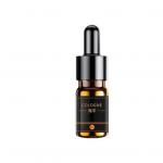 10 ml autoparf&uuml;&uuml;mi t&auml;idisl&otilde;hn, kerge, mitte&auml;rritav loodusliku eeterliku &otilde;liga &otilde;huv&auml;rskendaja koduautodele Ocean breeze
