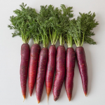 250 verepunast pikka porgandi seemet