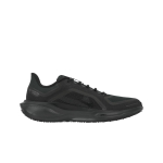 Nike Air Zoom Pegasus 41 GORE-TEX meeste tossud, mustad ja antratsiithallid, FQ1356-001 43 black