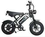 Electric bicycle F2 500W E-bike with 48V 13Ah battery, 16 inch tires, shoulder suspension, top speed of 45 kilometers per hour, mechanical disc brake 500W 48V 13AH must