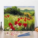 Kunst DIY Maalimine numbrite j&auml;rgi Teemantmaal Kodukaunistused Numbrid Maalimine Hobid &Otilde;limaal Digitaalne &otilde;limaal 40x50cm no frame