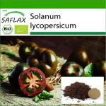 SAFLAX - Mahe - Tomat - Must kirss - 10 seemet - Potisubstraadiga paremaks kasvatamiseks - Solanum lycopersicum