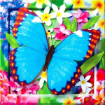 5D isetegemise teemantmaal, t&auml;ispuur, &uuml;mmargune loom, liblikas, teemanttikandid, lilled, kivid, mosaiikkaunistused kodu jaoks Full Round 20x20CM