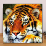 Loomade isetegemine 5D teemantmaal Mighty Tiger Teemanttikandid Full Lay Anime Ristpistekomplektid Kodukaunistus K&auml;sitsi valmistatud kingitus Round 25x25cm