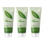 FARM STAY t&otilde;eline roheline tee s&uuml;gavalt l&auml;bipaistev kooriv geel 100 ml (3 valikut) 3pcs