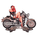 Les Tr&eacute;sors De Lily [A3215] - Plaque m&eacute;tal r&eacute;tro 'American Dream' (since 1903) vintage - 40x30 cm (Pin up- moto) punane