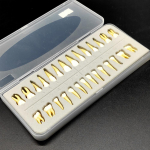 28 tk/ karp Dental 1:1 P&uuml;sihammaste &otilde;petamise n&auml;idismudel Hambaravi hambaarsti praktika hallitusseente t&uuml;podonti hambaarsti mudelid 1 box