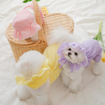 Suvine koer Kleit M&uuml;ts Vest Kass V&auml;ike koer Lemmikloomad Riietus Chihuahua Yorkshire terjerid Pommeri Shih Tzu Shih Tzu Puudelriided XS kollane