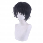 Anime Jujutsu Kaisen Toji Fushiguro Cosplay Parukas L&uuml;hike Parukas Kuumakindlad S&uuml;nteetilised Juuksed Tasuta parukakorgiga Cos Prop naisterahvale must