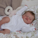 NPK 48cm Reborn Baby Rosalie v&auml;ga pehmest riidest nukk, t&auml;idisega m&auml;nguasi, elutruu t&otilde;eline pehme puudutus NO Toy gray