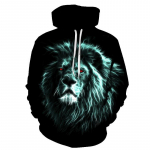 2024. aasta meeste kapuutsiga dressipluus, graafiline kapuutsiga igap&auml;evane 3D-print, tavaline vabaaja pullover, pikkade varrukatega vikerkaare 3D top S