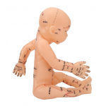N&otilde;elravi mudel Laste massaaži mudel Pediatric Training Doll Acupoint Children Model