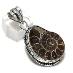 Natural Ammonite Fossil Gemstone 925 Sterling Silver Jewelry Pendant 1.97 t2g73