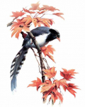 5D Teemanttikandid Multifilm Bird Teemantmosaiik Kaunista Broderies Teemantmaal 20X30