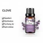 PHATOIL 10 ml vanilje lavendli roosi teepuu taime eeterlik &otilde;li &otilde;hupuhastaja hajuti massaažile Puhas antibakteriaalne eeterlik &otilde;li ussit&otilde;rje Clove