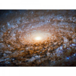 Teemantmaalikomplekt Loomade hobuste kivid Teemanttikandid Ristpistes Mosaiik K&auml;sitsi valmistatud kingitus Full Round 20X30CM punane